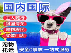 洛阳北郊空运国际宠物托运 【国
